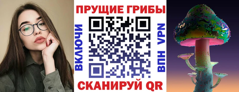 Купить закладки  Любим  Галлюциногенные грибы Cubensis 